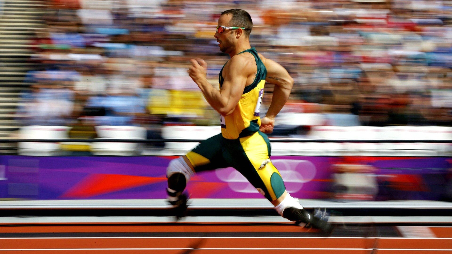 现场气氛火爆!球迷欢呼不断,场内外热情爆棚!,球赛现场的气氛